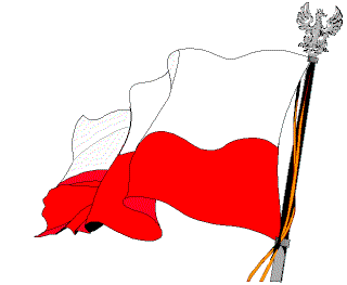flagapolski
